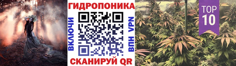 ОМГ ОМГ   сайты даркнета Telegram  Курчатов  Канабис ГИДРОПОН  цены  